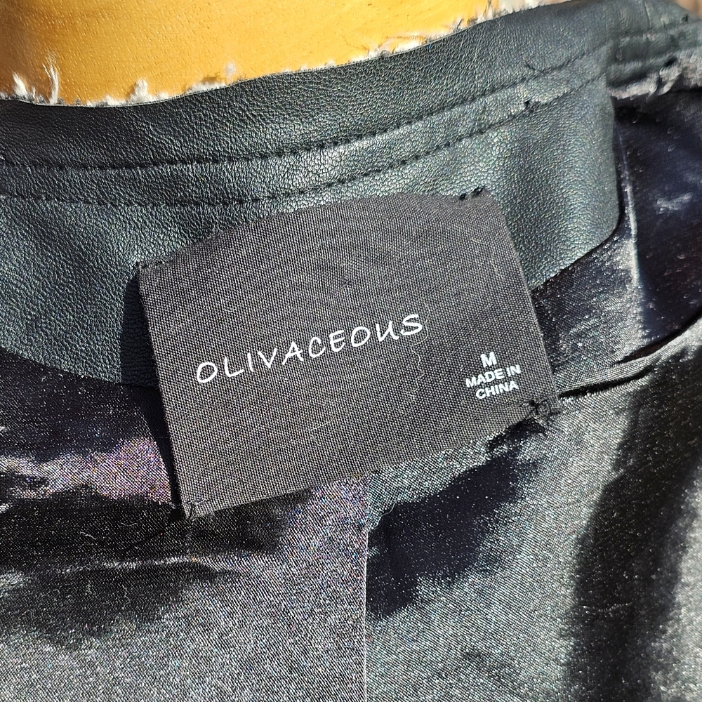 Olivaceous Python Print Moto Jacket - image 5